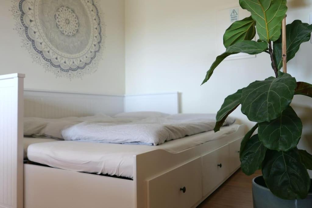 Panorama Apartment Sagres *Pool* ภายนอก รูปภาพ