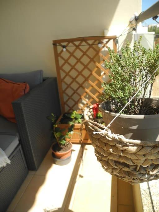 Panorama Apartment Sagres *Pool* ภายนอก รูปภาพ